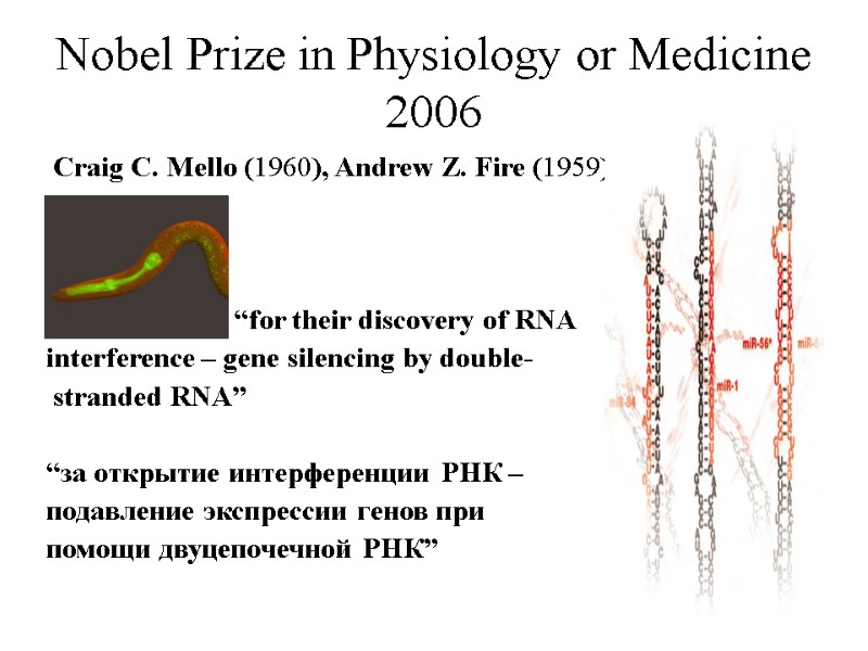 Nobel Prize in Physiology or Medicine 2006  Craig C. Mello (1960), Andrew Z.